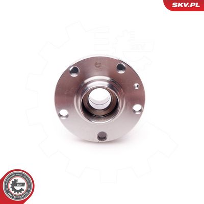 SET RULMENT ROATA ESEN SKV 29SKV069 1