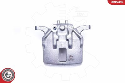 Brake Caliper 44SKV972