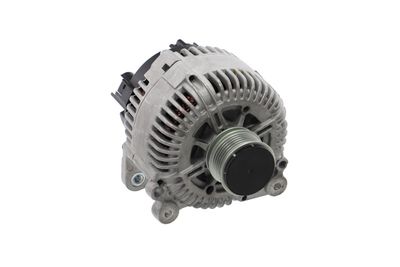 GENERATOR / ALTERNATOR REMANTE 011003000030R 53