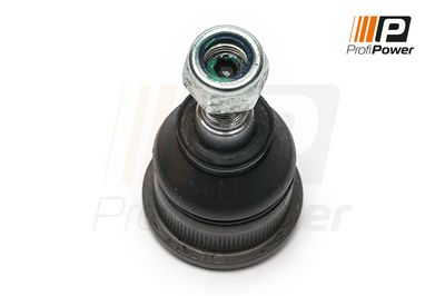 Šarnyras / girgždukas