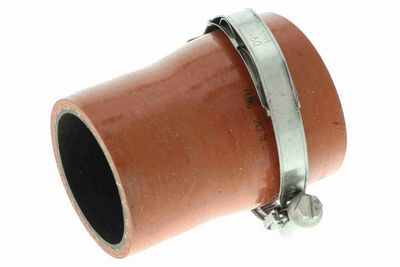 FURTUN EAR SUPRAALIMENTARE