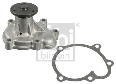 Water Pump, engine cooling 24194
