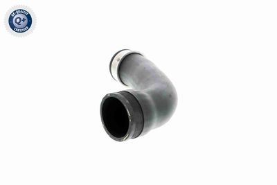 LADELUFTSCHLAUCH VAICO V102889 3