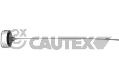 CAUTEX 021402 Щуп масляный  для RENAULT SCÉNIC (Рено Скéник)