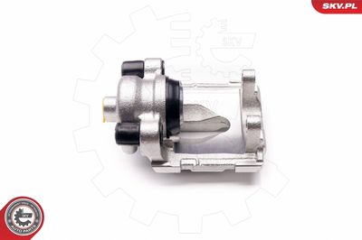 Brake Caliper 34SKV074