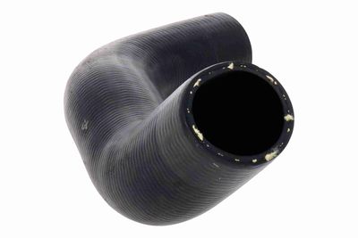 FURTUN EAR SUPRAALIMENTARE ACKOJA A260540 5