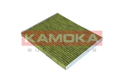 Filter, cabin air 6080039