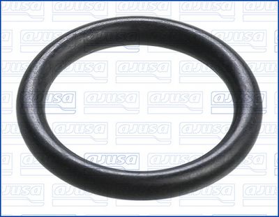 GARNITURA CONDUCTA LICHID DE RACIRE