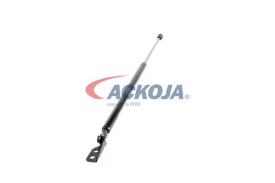 AMORTIZOR PORTBAGAJ ACKOJA A520066 49