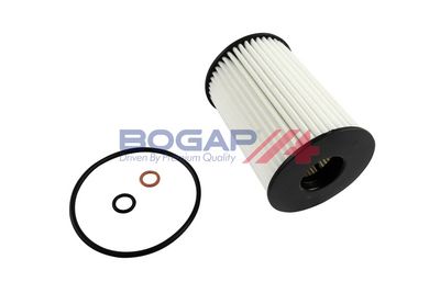 BOGAP Alyvos filtras