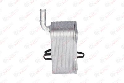 RADIATOR ULEI ULEI MOTOR BIRTH 8914 4