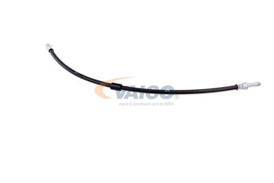 FURTUN FRANA VAICO V300547 38