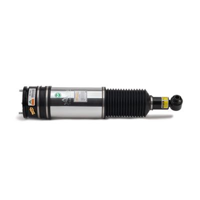 LUFTFEDERBEIN Arnott AS2980 3