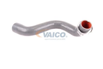 FURTUN EAR SUPRAALIMENTARE VAICO V460823 13