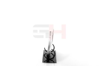 PROTECTIE STROPIRE DISC FRANA GH GH489951H 46