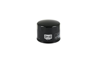 Filtru ulei CHAMPION COF060