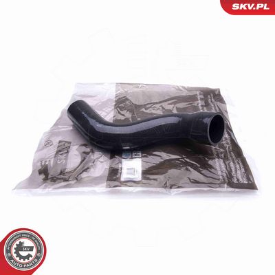 FURTUN EAR SUPRAALIMENTARE