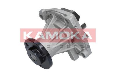 Water Pump, engine cooling T0011