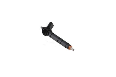 INJECTOR REMANTE 002003002186R 48