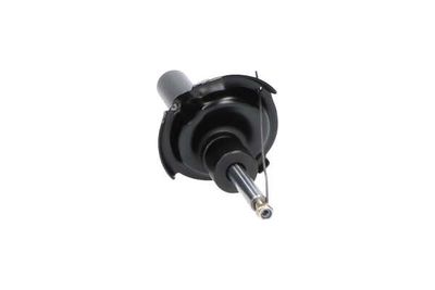 AMORTIZOR Kavo Parts SSA10366 15