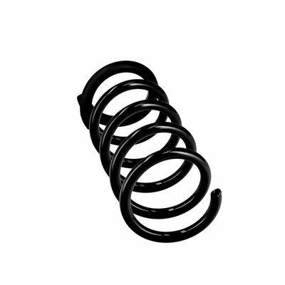 ARC SPIRAL EIBACH R10661 12