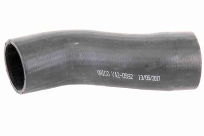 FURTUN EAR SUPRAALIMENTARE