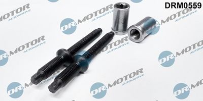 Šroub, držák vstřikovací trysky LIZARTE DRM0559