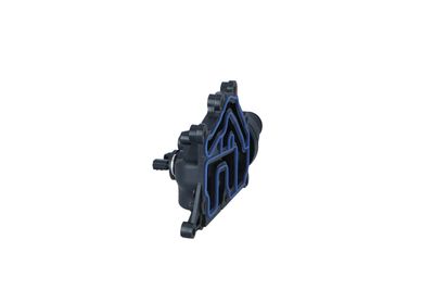 TERMOSTAT LICHID RACIRE NRF 725038 19