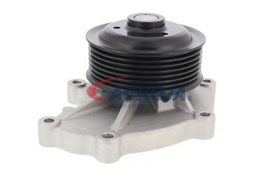 POMPă DE APă RăCIRE MOTOR ACKOJA A630700 53