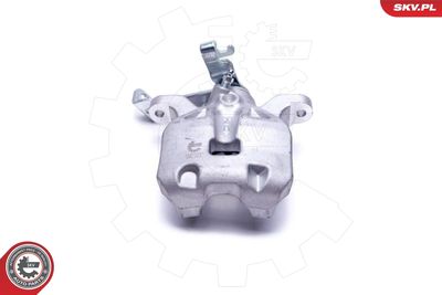 Brake Caliper 55SKV843