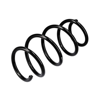 ARC SPIRAL EIBACH R14862 4