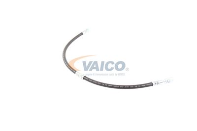 FURTUN FRANA VAICO V103077 43