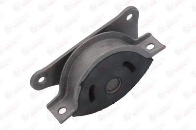 SUPORT MOTOR BIRTH 5062 12