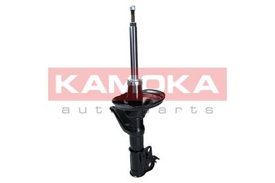 Shock Absorber 2000673