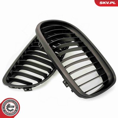 GRILA RADIATOR ESEN SKV 66SKV097 3