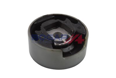 BOGAP Variklio montavimas