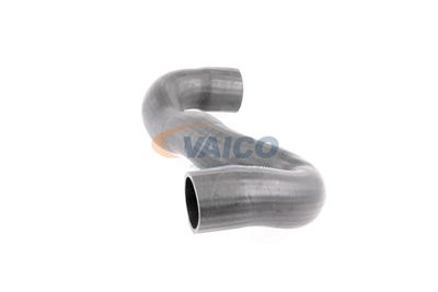 FURTUN EAR SUPRAALIMENTARE VAICO V420599 12