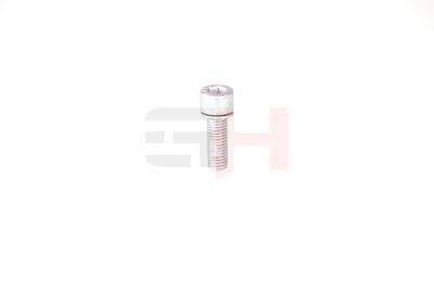 SURUB DE GOLIRE AX GH GH399902 29