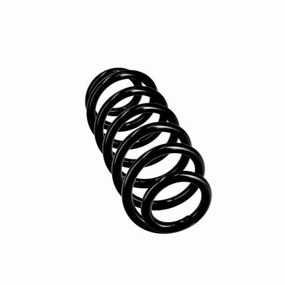 ARC SPIRAL EIBACH R10615 24