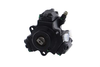 POMPA DE INALTA PRESIUNE REMANTE 002002000063R 61