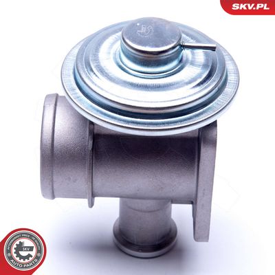 AGR - Ventil ESEN SKV 14SKV179