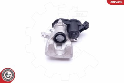 Brake Caliper 42SKV554