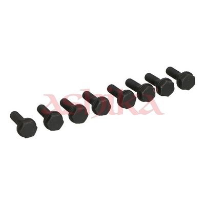 ASHIKA Schraube, Zahnkranzträger-Schwungrad