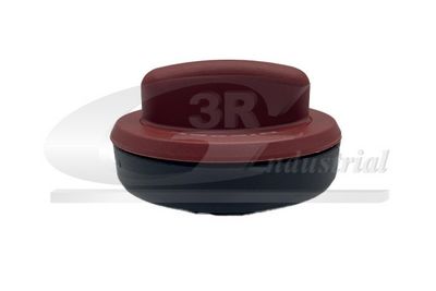 BUSON REZERVOR DE COMBUSTIBIL 3RG 65500 2
