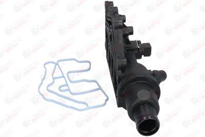 CAPAC CUREA DINTATA BIRTH 8897 10