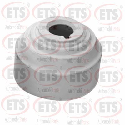 окачване, двигател ETS 15.EM.001