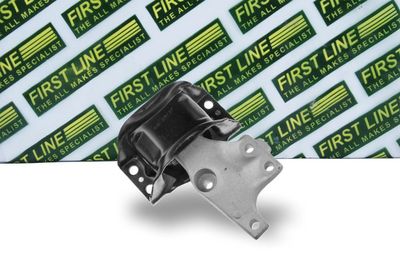 окачване, двигател FIRST LINE FEM4311
