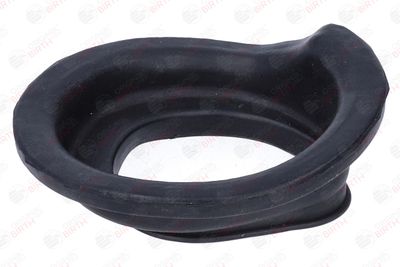 SAIBA ARC BIRTH 56745 6