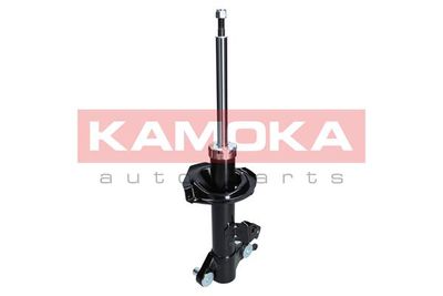 Shock Absorber 2000112