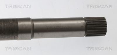 PLANETARA TRISCAN 854010554 3